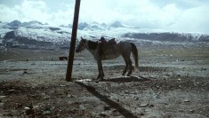 Xinjiang 1987 PICT0140